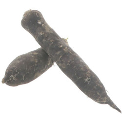 BIO RADIS NOIR KG